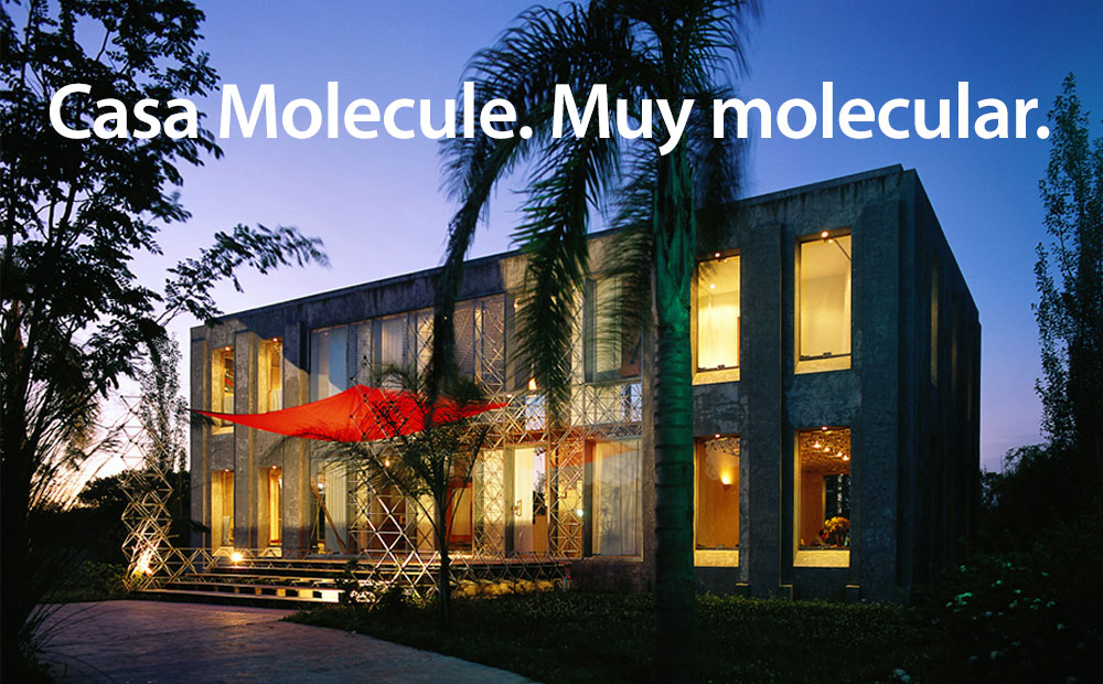 Casa Molecule